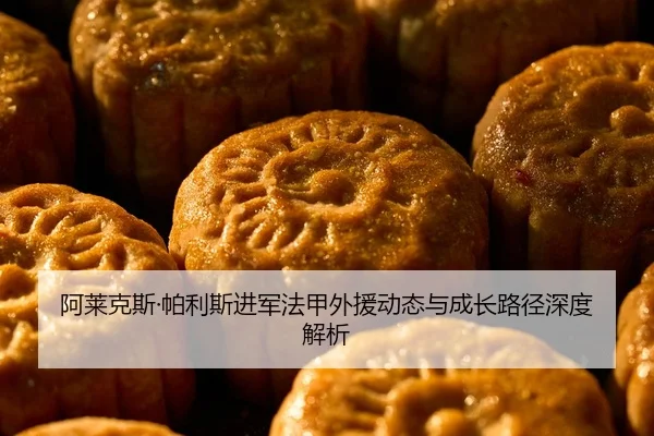 阿莱克斯·帕利斯进军法甲外援动态与成长路径深度解析