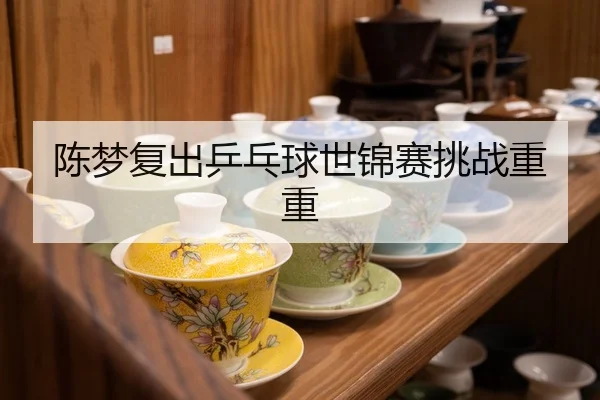 陈梦复出乒乓球世锦赛挑战重重